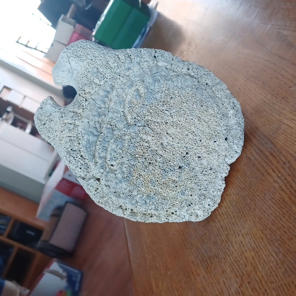 Inuit Whale Bone Carving.